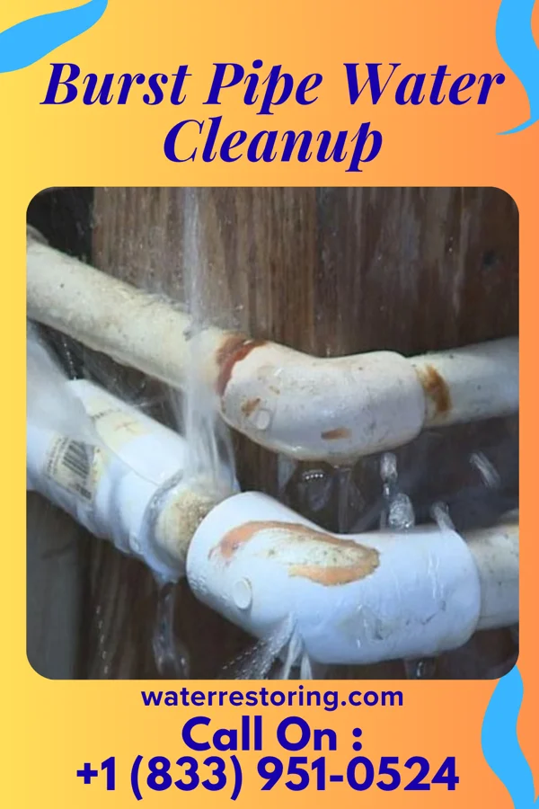 Burst Pipe Water Cleanup in Geistown, PA