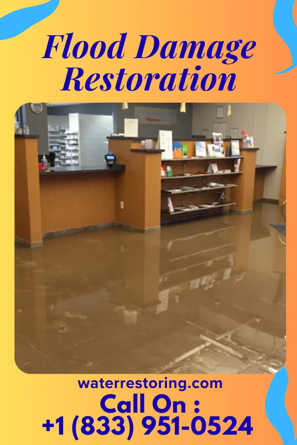Flood Damage Restoration in Geistown, PA
