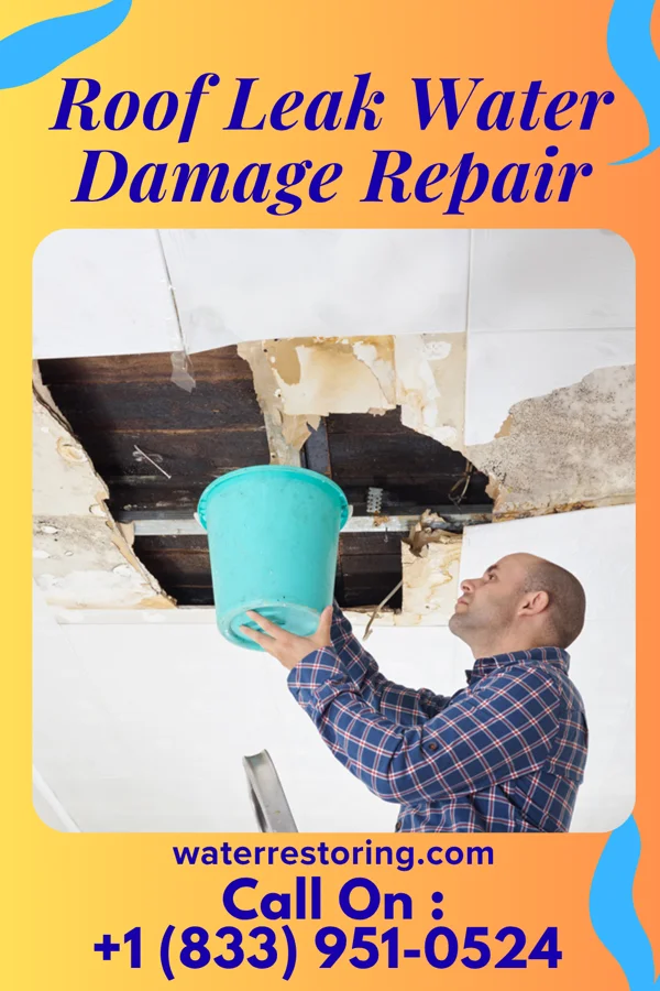 Roof Leak Water Damage Repair in Geistown, PA