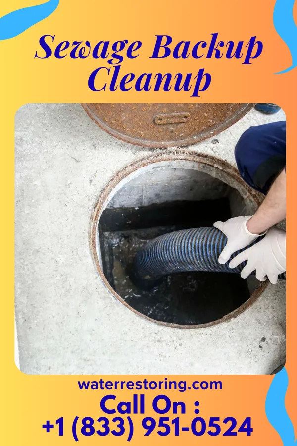 Sewage Backup Cleanup in Geistown, PA