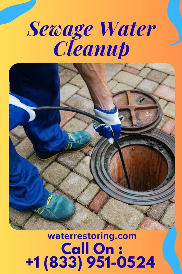 Sewage Water Cleanup in Geistown, PA