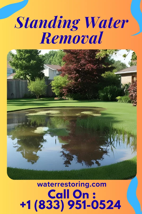 Standing Water Removal in Geistown, PA